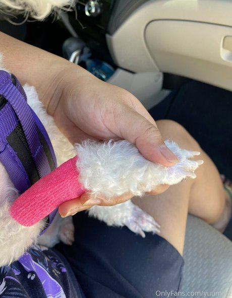 yuumii z best model pictures