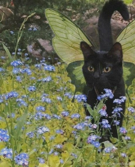 lolykoi art actress image