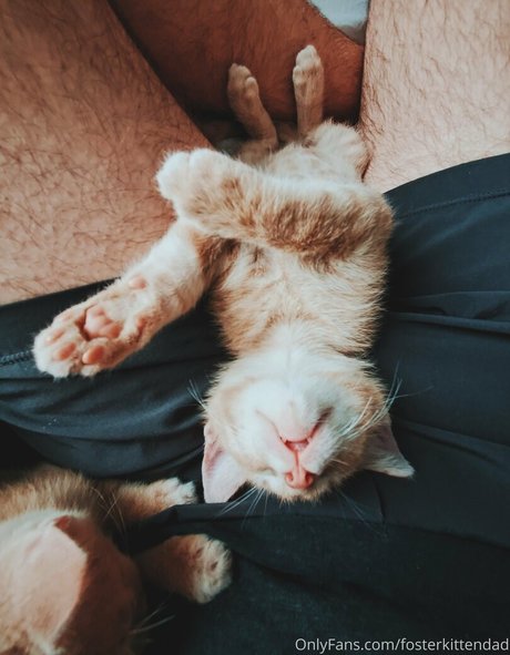 fosterkittendad pornstar hd photo
