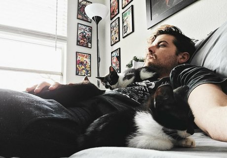 fosterkittendad Profile pic