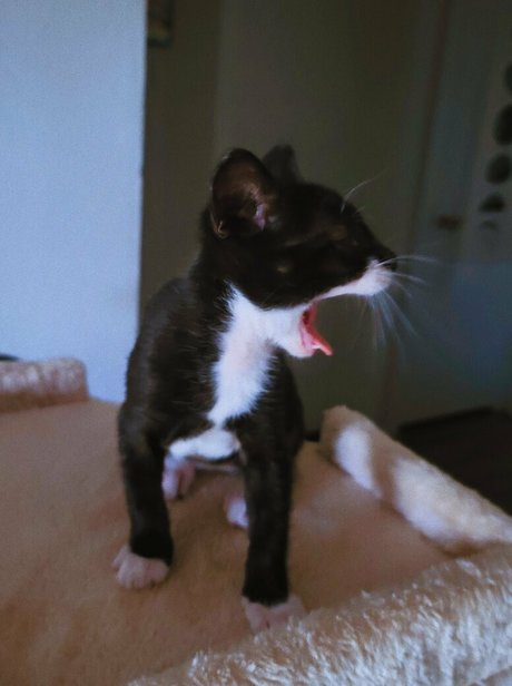 bdsm slave onlyfans sexy nude pic