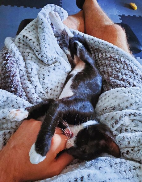 fosterkittendad nudes model picture