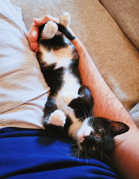 fosterkittendad exclusive actress picture