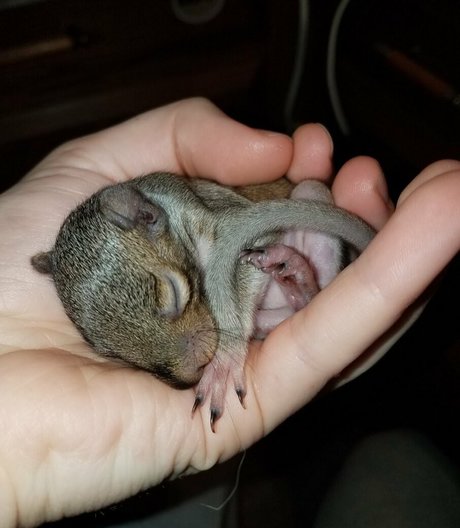 mikaylarainesfans high quality star galleries