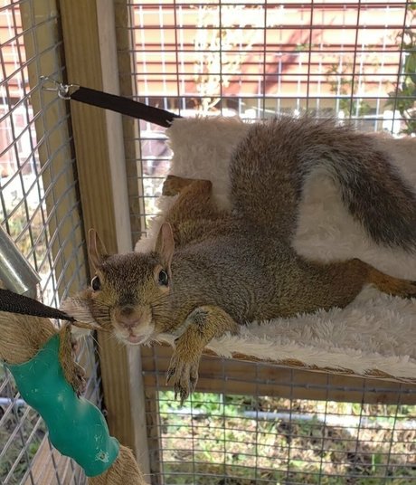 mikaylarainesfans best model image