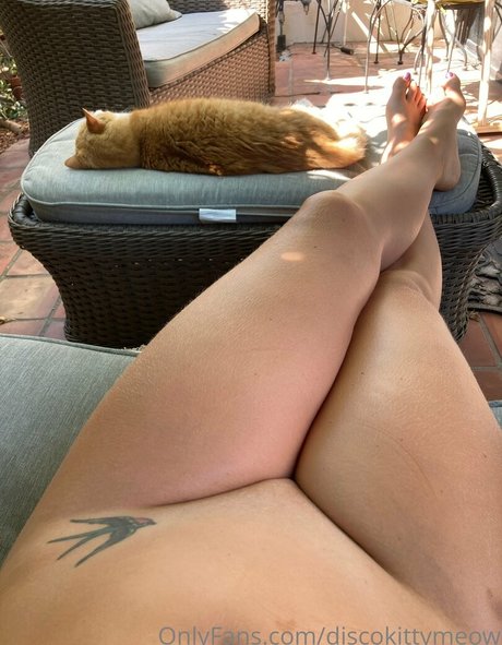 discokittymeow high quality star pictures