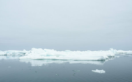 iceicelady nude model images