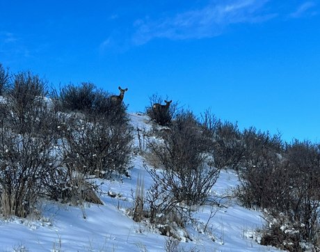 audreybelletv erotic star gallery