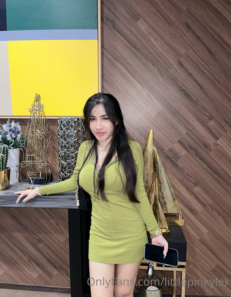 littlepinkylek model erotic photos