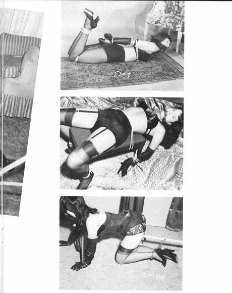 Bettie Page art pornstar galleries