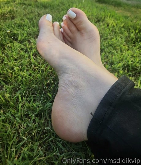 msdidikvip sexy pornstar gallery