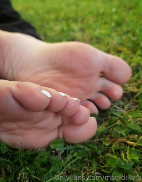 msdidikvip star hd picture