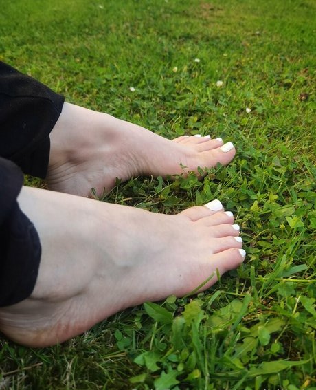 msdidikvip model free image