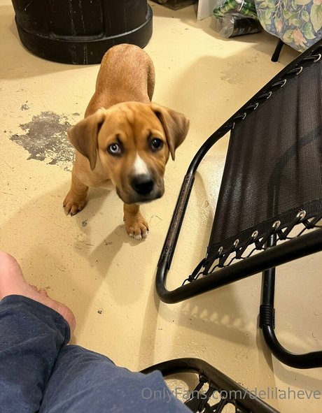 delilaheve exclusive actress gallery