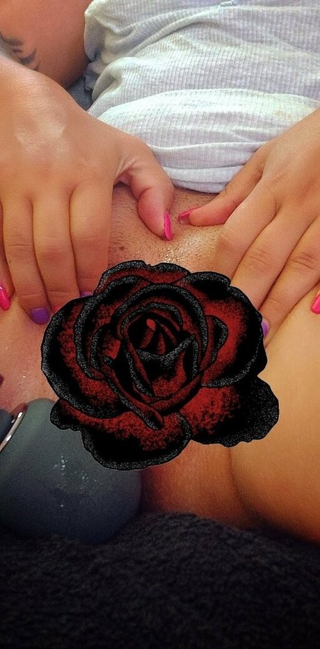 firebird ash perfect star photo