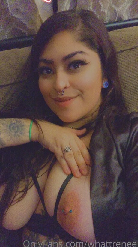 kitanastar model archive