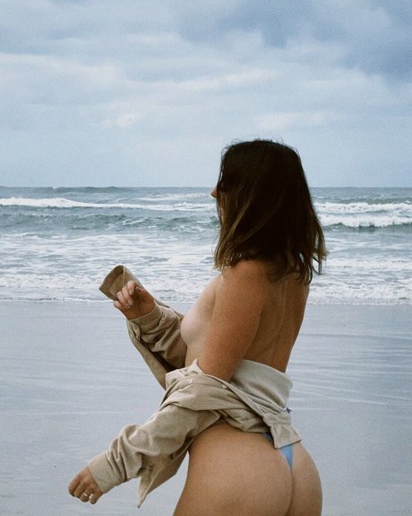 Seashark model free photos