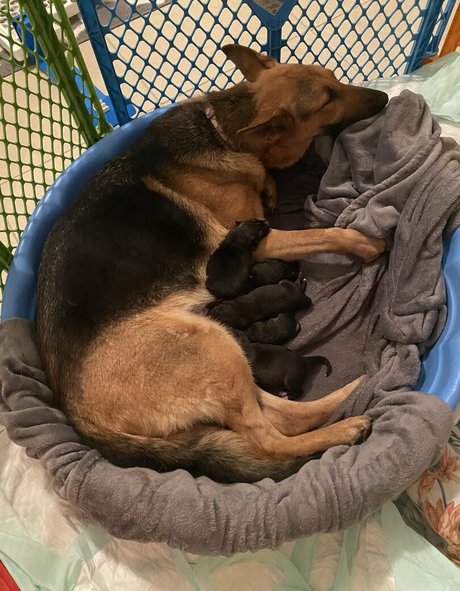 reallillyhallxx model naked photo