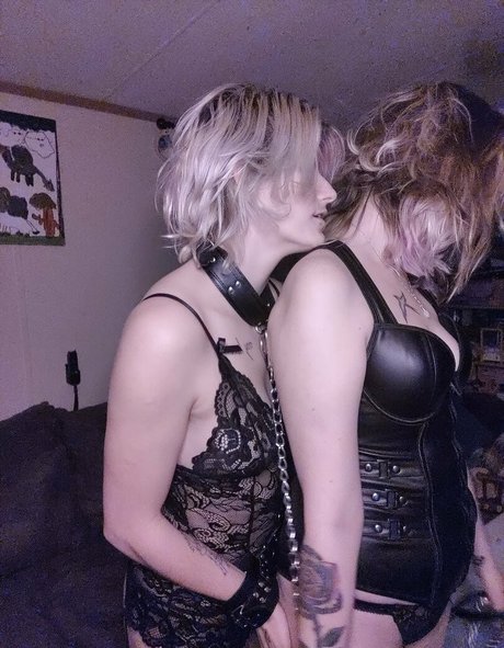 kittens playpen model adult images