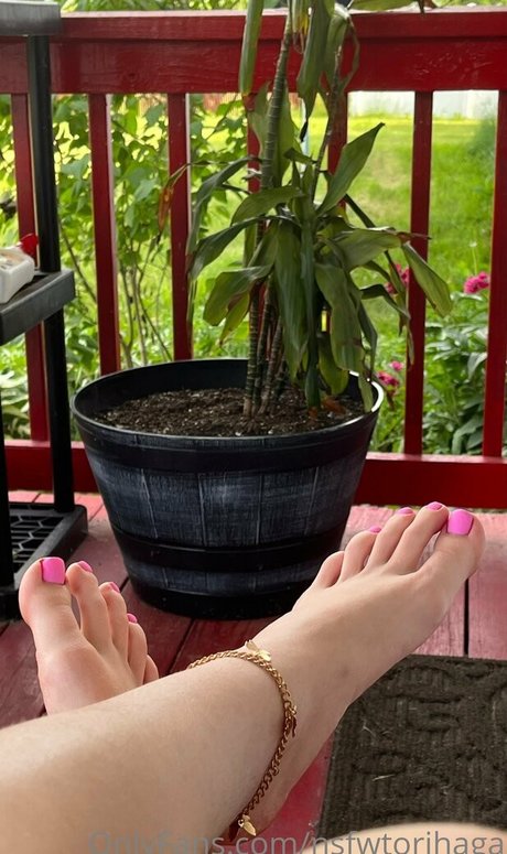 nsfwtorihaga star sexy img