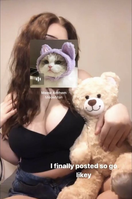 Carabobeara1 art star picture