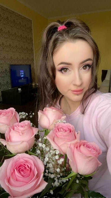 Cutecat star top picture