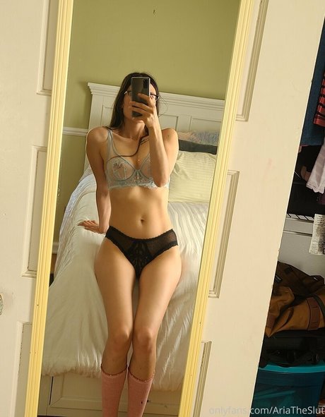 hiblissfularia star art images