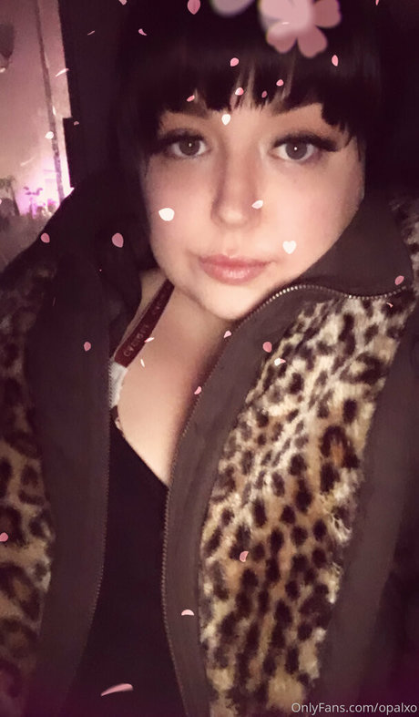 opalxo nudes star pictures