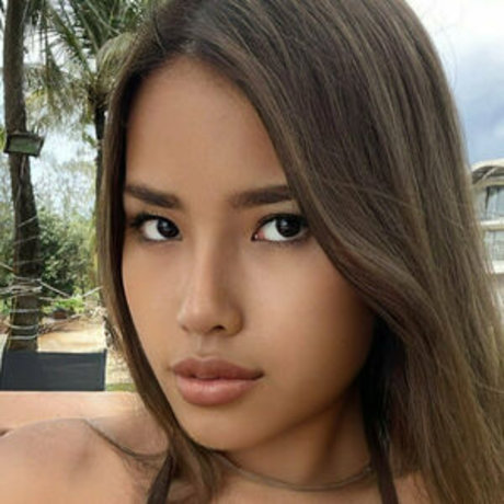 lillielust star high quality archive