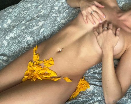 social onlyfans nice galleries