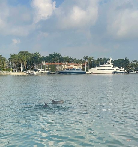 Katrina Louise Paul pretty star photos