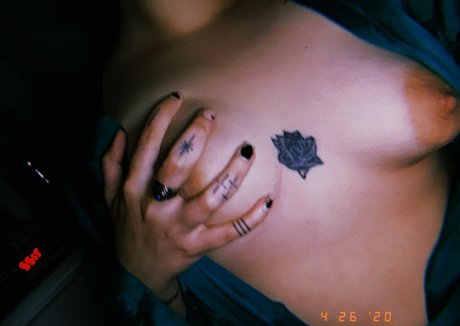 catandbean star image