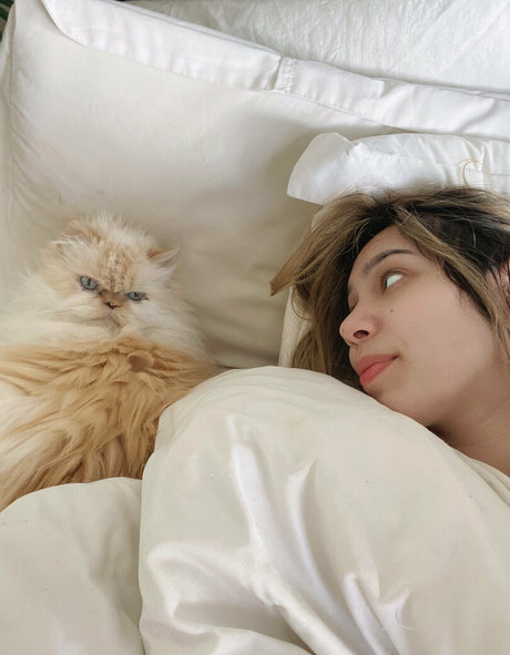 chibibyte high quality pornstar gallery