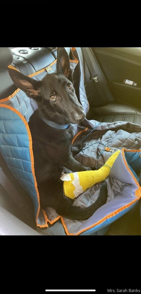 beard onlyfans perfect pic