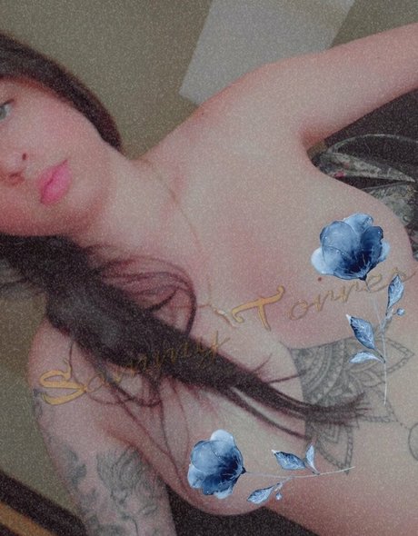 officialsammytorres best star pic