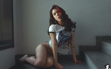 bambisparadise adult star picture