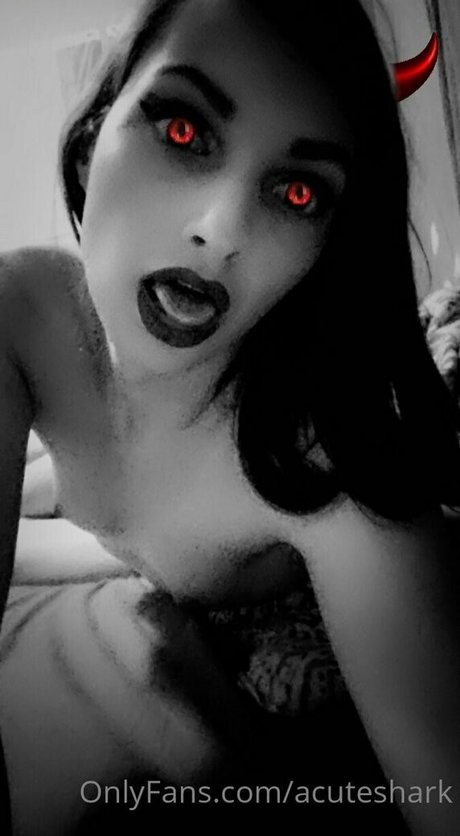 acuteshark perfect star gallery