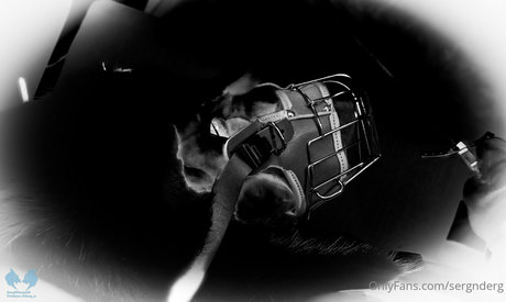 sergnderg pornstar adult pics