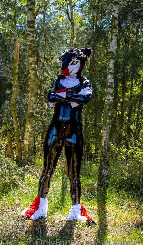 sergnderg pornstar top img