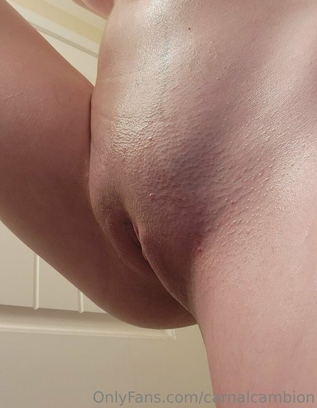 carnalcambion star art picture