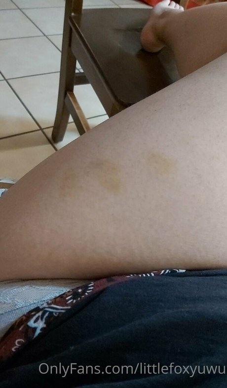 littlefoxyuwu best pornstar image