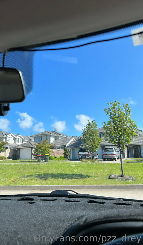 pzz drey nudes pornstar pictures