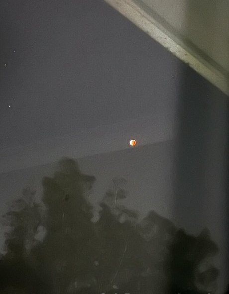 pzz drey star nice pictures