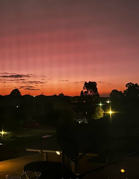 pzz drey xxx pornstar gallery