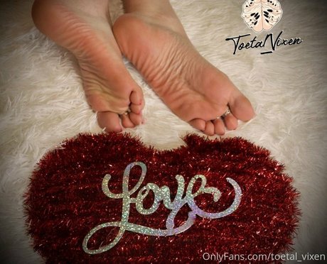 toetal vixen model top img