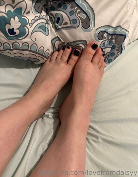 lovefromdaisyy star pretty galleries