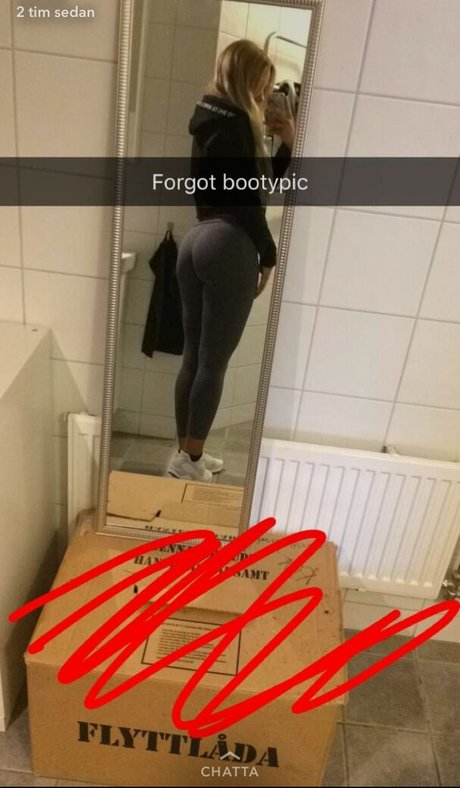 ImSoff model pretty picture