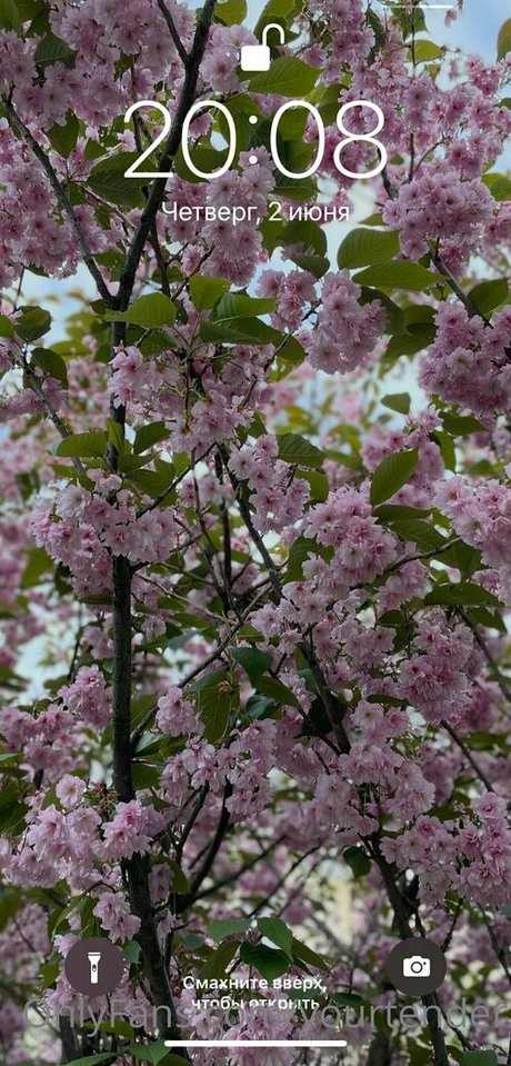 tenderalise pretty star photo