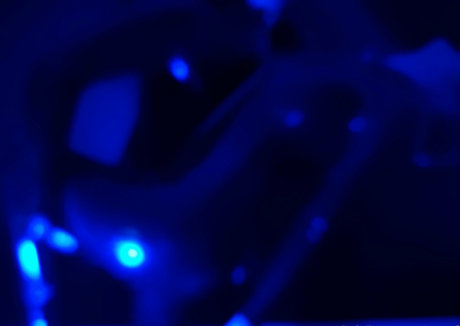 naoof sex pornstar pic