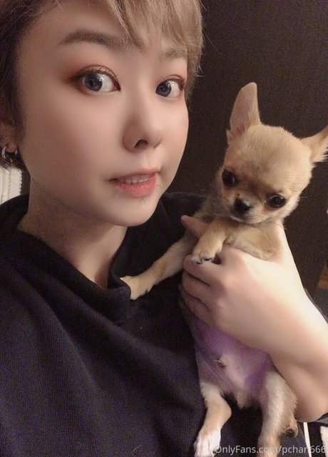 Pchan 666 sex model img